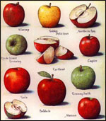 Déguisez votre pc en Mac