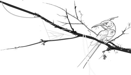 Découverte: Fevolution