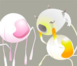 Entrevue avec Bruno Samper