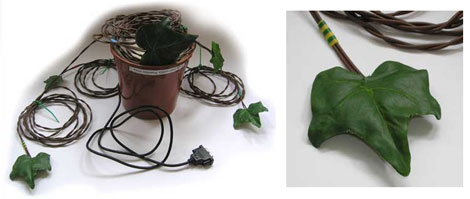 Lumberjacked: la force végétale