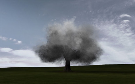 Smoke Tree: un abre polluant