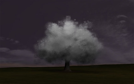 Smoke Tree: un abre polluant