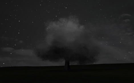 Smoke Tree: un abre polluant