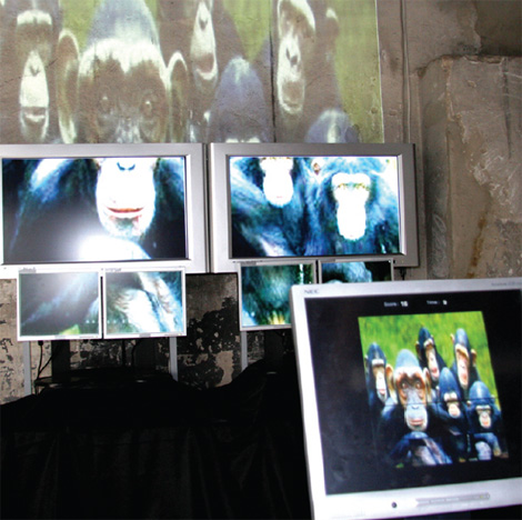 Gamerz + Enariof à Aix