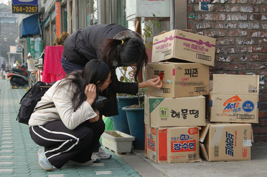 Scopitone 07 : korean_tupperware